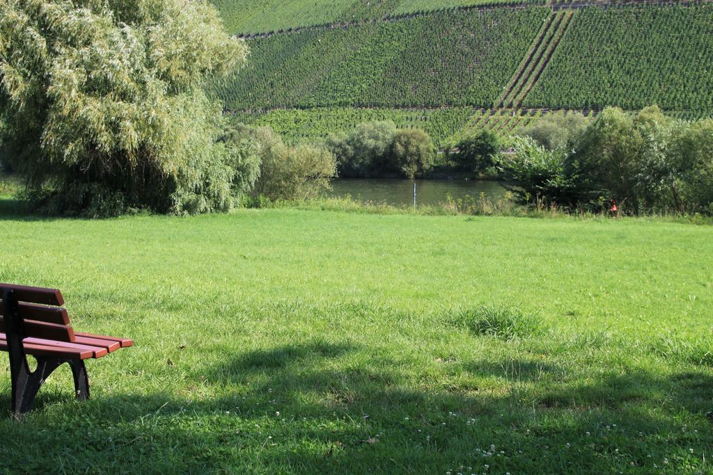 B&B Zum Treppchen Losnich Bagian luar foto