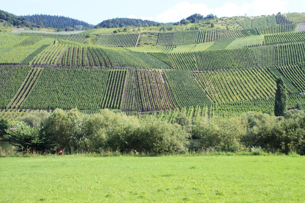 B&B Zum Treppchen Losnich Bagian luar foto